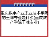 重庆数字产业职业技术学院的王牌专业是什么(重庆数产学院王牌专业)