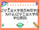 辽宁工业大学是否有双学位，为什么(辽宁工业大学双学位原因)