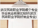 武汉民政职业学院哪个专业毕业就业前景比较好(武汉民政职业学院好就业专业)