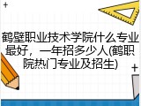 鹤壁职业技术学院什么专业最好，一年招多少人(鹤职院热门专业及招生)