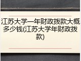 江苏大学一年财政拨款大概多少钱(江苏大学年财政拨款)