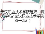 武汉职业技术学院是双一流大学吗?(武汉职业技术学院双一流？)