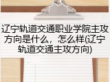 辽宁轨道交通职业学院主攻方向是什么，怎么样(辽宁轨道交通主攻方向)