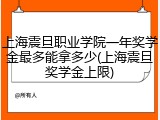 上海震旦职业学院一年奖学金最多能拿多少(上海震旦奖学金上限)