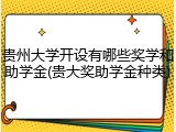 贵州大学开设有哪些奖学和助学金(贵大奖助学金种类)