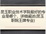 昆玉职业技术学院最好的专业是哪个，详细阐述(昆玉职院王牌专业)