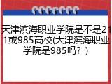 天津滨海职业学院是不是211或985高校(天津滨海职业学院是985吗？)
