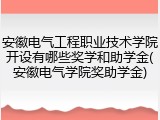 安徽电气工程职业技术学院开设有哪些奖学和助学金(安徽电气学院奖助学金)