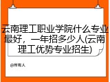 云南理工职业学院什么专业最好，一年招多少人(云南理工优势专业招生)
