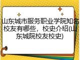 山东城市服务职业学院知名校友有哪些，校史介绍(山东城院校友校史)