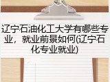 辽宁石油化工大学有哪些专业，就业前景如何(辽宁石化专业就业)