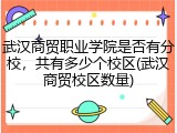 武汉商贸职业学院是否有分校，共有多少个校区(武汉商贸校区数量)
