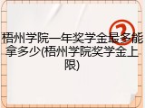 梧州学院一年奖学金最多能拿多少(梧州学院奖学金上限)