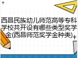 西昌民族幼儿师范高等专科学校共开设有哪些类型奖学金(西昌师范奖学金种类)