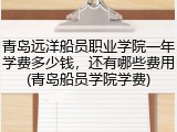 青岛远洋船员职业学院一年学费多少钱，还有哪些费用(青岛船员学院学费)
