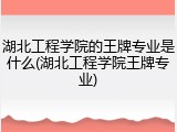 湖北工程学院的王牌专业是什么(湖北工程学院王牌专业)