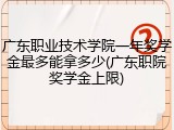 广东职业技术学院一年奖学金最多能拿多少(广东职院奖学金上限)