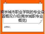 南京城市职业学院的专业设置概况介绍(南京城职专业概览)
