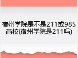 宿州学院是不是211或985高校(宿州学院是211吗)