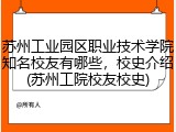 苏州工业园区职业技术学院知名校友有哪些，校史介绍(苏州工院校友校史)