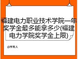福建电力职业技术学院一年奖学金最多能拿多少(福建电力学院奖学金上限)