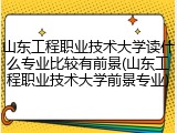 山东工程职业技术大学读什么专业比较有前景(山东工程职业技术大学前景专业)