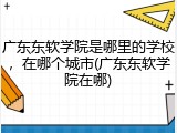 广东东软学院是哪里的学校，在哪个城市(广东东软学院在哪)