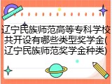 辽宁民族师范高等专科学校共开设有哪些类型奖学金(辽宁民族师范奖学金种类)