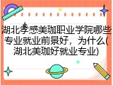 湖北孝感美珈职业学院哪些专业就业前景好，为什么(湖北美珈好就业专业)