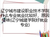 辽宁城市建设职业技术学院什么专业就业比较好，原因是啥(辽宁城建学院好就业专业)