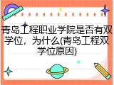青岛工程职业学院是否有双学位，为什么(青岛工程双学位原因)
