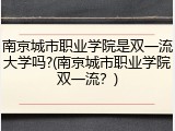 南京城市职业学院是双一流大学吗?(南京城市职业学院双一流？)