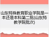 山东特殊教育职业学院是一本还是本科第二批(山东特教学院批次)