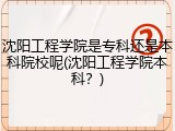 沈阳工程学院是专科还是本科院校呢(沈阳工程学院本科？)