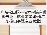 广东松山职业技术学院有哪些专业，就业前景如何(广东松山学院专业就业)