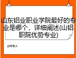 山东铝业职业学院最好的专业是哪个，详细阐述(山铝职院优势专业)