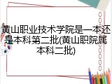 黄山职业技术学院是一本还是本科第二批(黄山职院属本科二批)