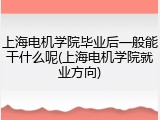上海电机学院毕业后一般能干什么呢(上海电机学院就业方向)