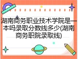 湖南商务职业技术学院是一本吗录取分数线多少(湖南商务职院录取线)