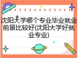 沈阳大学哪个专业毕业就业前景比较好(沈阳大学好就业专业)