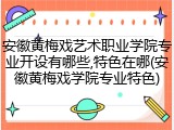 安徽黄梅戏艺术职业学院专业开设有哪些,特色在哪(安徽黄梅戏学院专业特色)