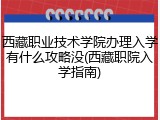 西藏职业技术学院办理入学有什么攻略没(西藏职院入学指南)