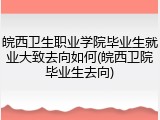 皖西卫生职业学院毕业生就业大致去向如何(皖西卫院毕业生去向)