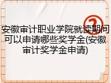 安徽审计职业学院就读期间可以申请哪些奖学金(安徽审计奖学金申请)