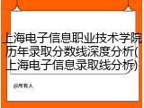 上海电子信息职业技术学院历年录取分数线深度分析(上海电子信息录取线分析)