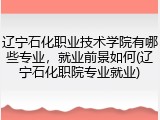 辽宁石化职业技术学院有哪些专业，就业前景如何(辽宁石化职院专业就业)