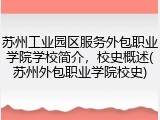 苏州工业园区服务外包职业学院学校简介，校史概述(苏州外包职业学院校史)