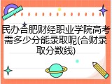 民办合肥财经职业学院高考需多少分能录取呢(合财录取分数线)