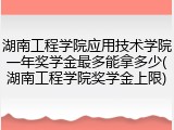 湖南工程学院应用技术学院一年奖学金最多能拿多少(湖南工程学院奖学金上限)