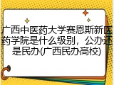 广西中医药大学赛恩斯新医药学院是什么级别，公办还是民办(广西民办高校)